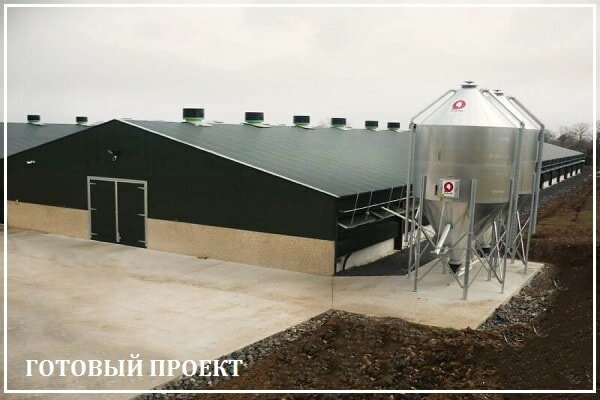Этапы возведения птицефабрики от завода ВелесТент-тюм